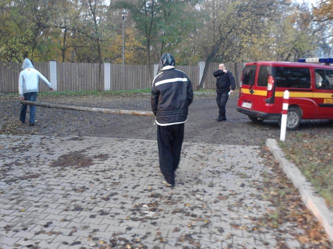 Człowiek guma, półnaga kobieta, wędkarz naturysta -czyli nietypowe interwencje Starży Miejskiej Starachowice