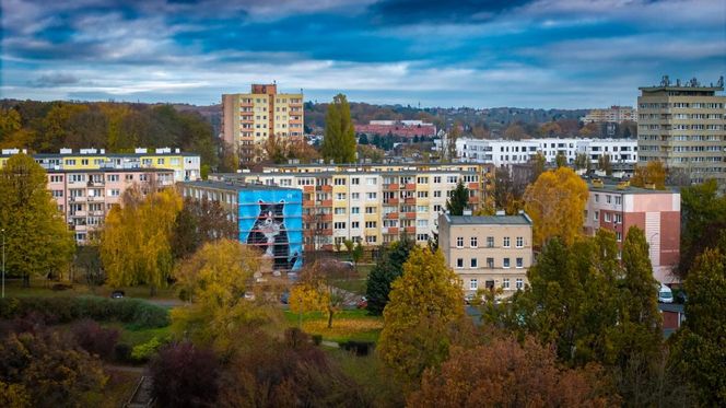 Na ul. Rugiańskiej powstaje mural z kotem Gackiem