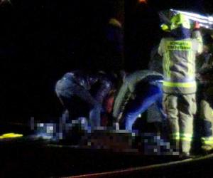 Tragedia w Grodzisku Mazowieckim. Pociąg WKD śmiertelnie potrącił człowieka