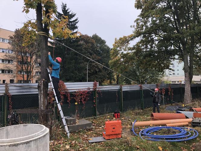 Centrum Aktywności Międzypokoleniowej