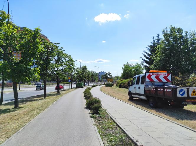 Zrobili pustynię w środku miasta. Wielkie koszenie trawy w Warszawie