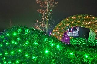 X Królewski Festiwal Światła