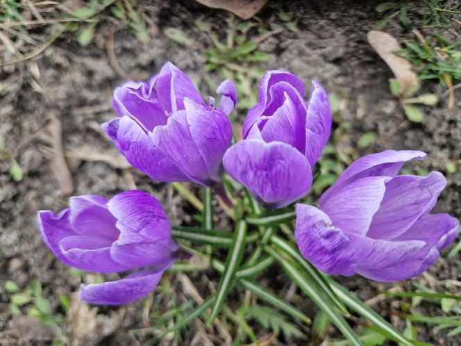 Park Kochanowskiego w Bydgoszczy, czyli serce bydgoskiej Dzielnicy Muzycznej!