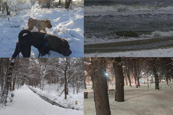 Śnieg na Pomorzu. Zima w obiektywach naszych Czytelników