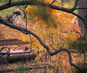 Ogród Botaniczny we Wrocławiu