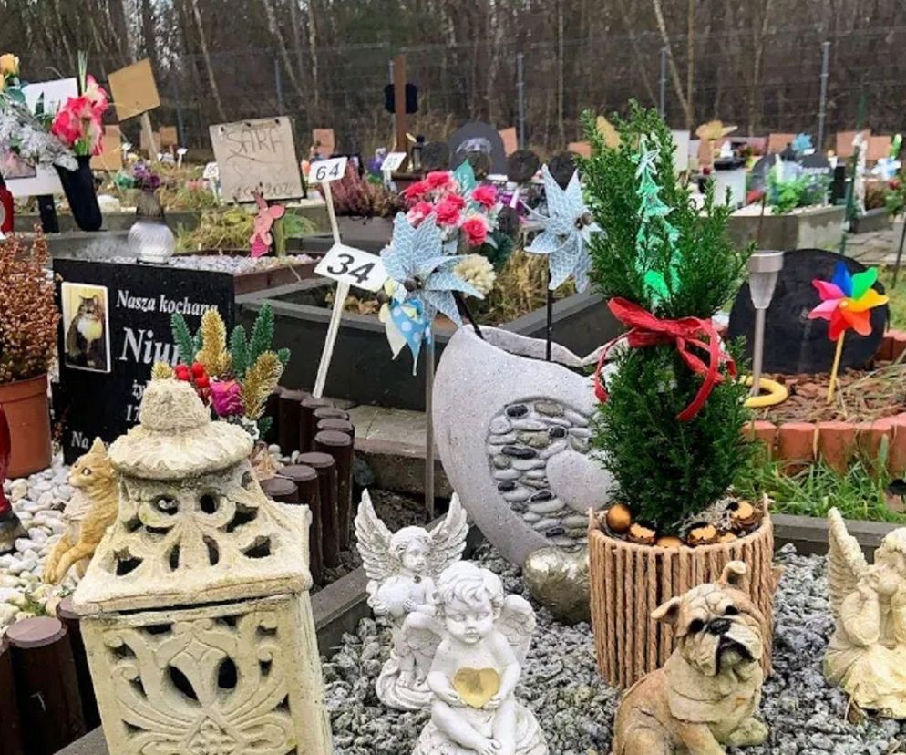 Jedyne takie miejsce na Śląsku. Tu z godnością pożegnasz swojego pupila