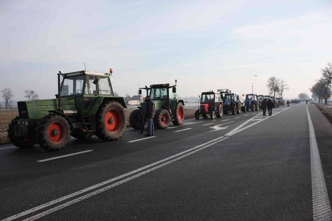 W Polsce nie da się żyć ze świni