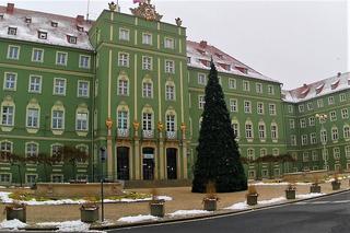 Kryzysowa choinka miejska w Szczecinie