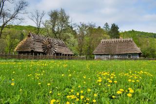 To największy skansen w Polsce. Wyjątkowa atrakcja na mapie Podkarpacia 