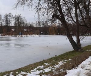 Zimowy spacer po roztoczańskim Zwierzyńcu