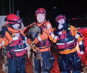 Przejechali 700 km żeby uratować psa uwięzionego na środku Bugu. Ratownicy z Kołobrzegu bohaterami