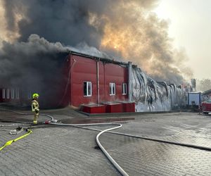 Potężny pożar pustoszy halę w woj. lubelskim