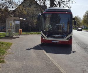 Jest praca na stanowisku dyrektora MZK. Tyle zarobi