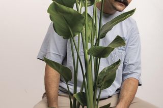 Dawid Oleszko - Roślinne Historie