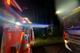 Wypadek na S1 w Katowicach. Samochód wypadł z drogi i stanął w płomieniach!