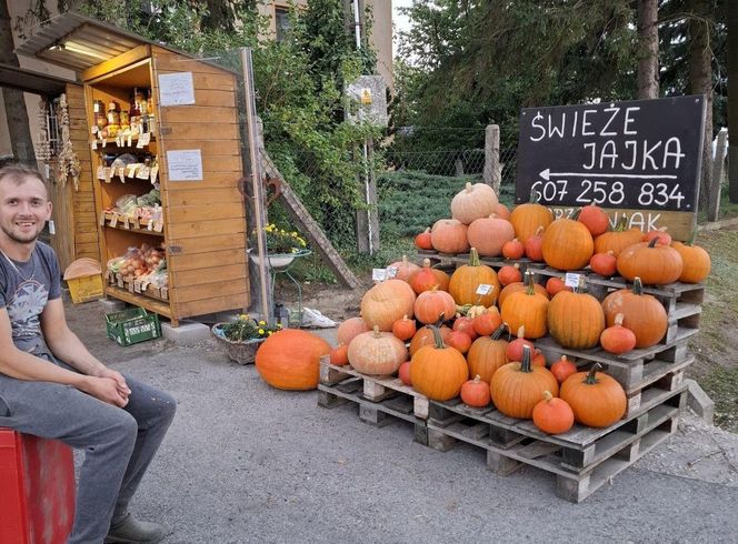 Wszystko prosto od rolnika i gospodyni spod samego gospodarstwa. Ludzie pokochali samoobsługowy warzywniak