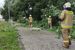 Burzowe skutki w okolicy Grudziądza