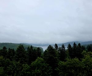 Kawiarnia Widokowa w Polańczyku Perła Bieszczadów.