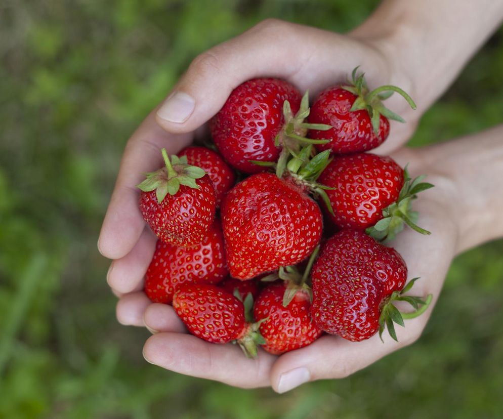 Ponad milion Polaków nie może jeść truskawek ze względu na serce? Wyjaśniamy