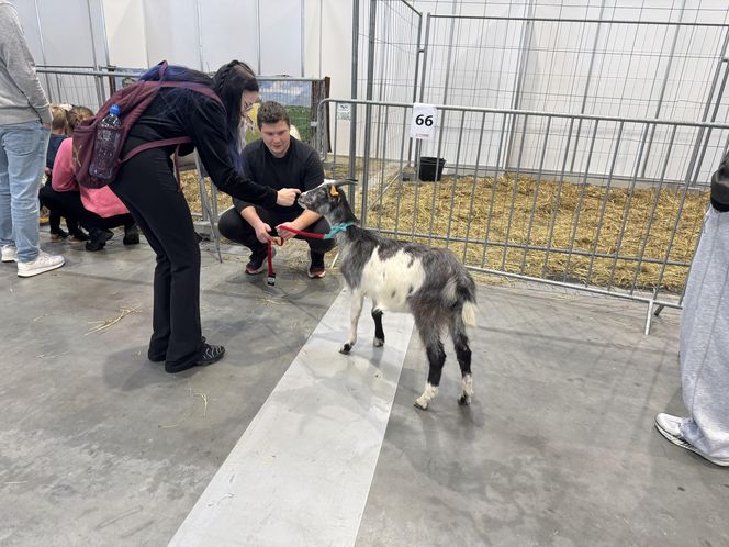 ZooPark w Lublinie. Dzień drugi
