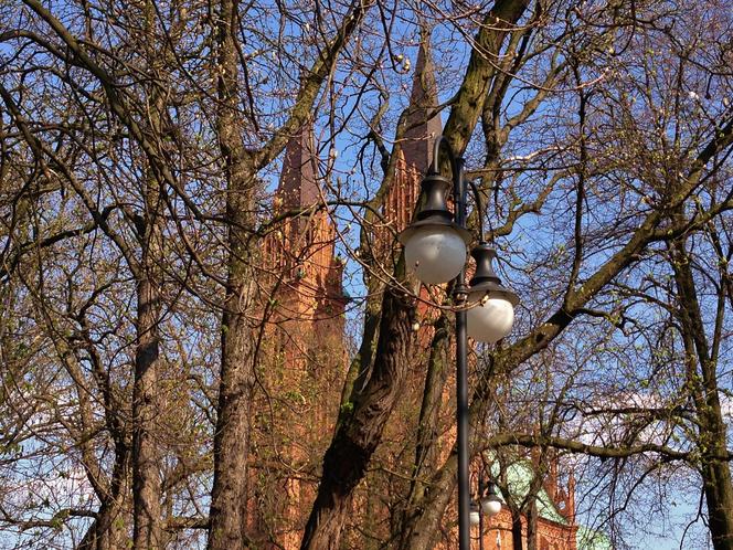 Katedra we Włocławku, widok od strony Parku Sienkiewicza