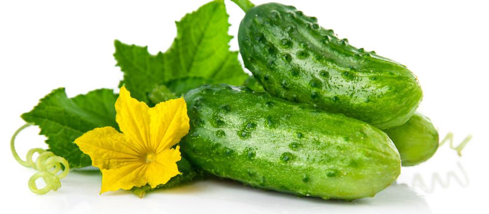 Ogórki do kiszenia