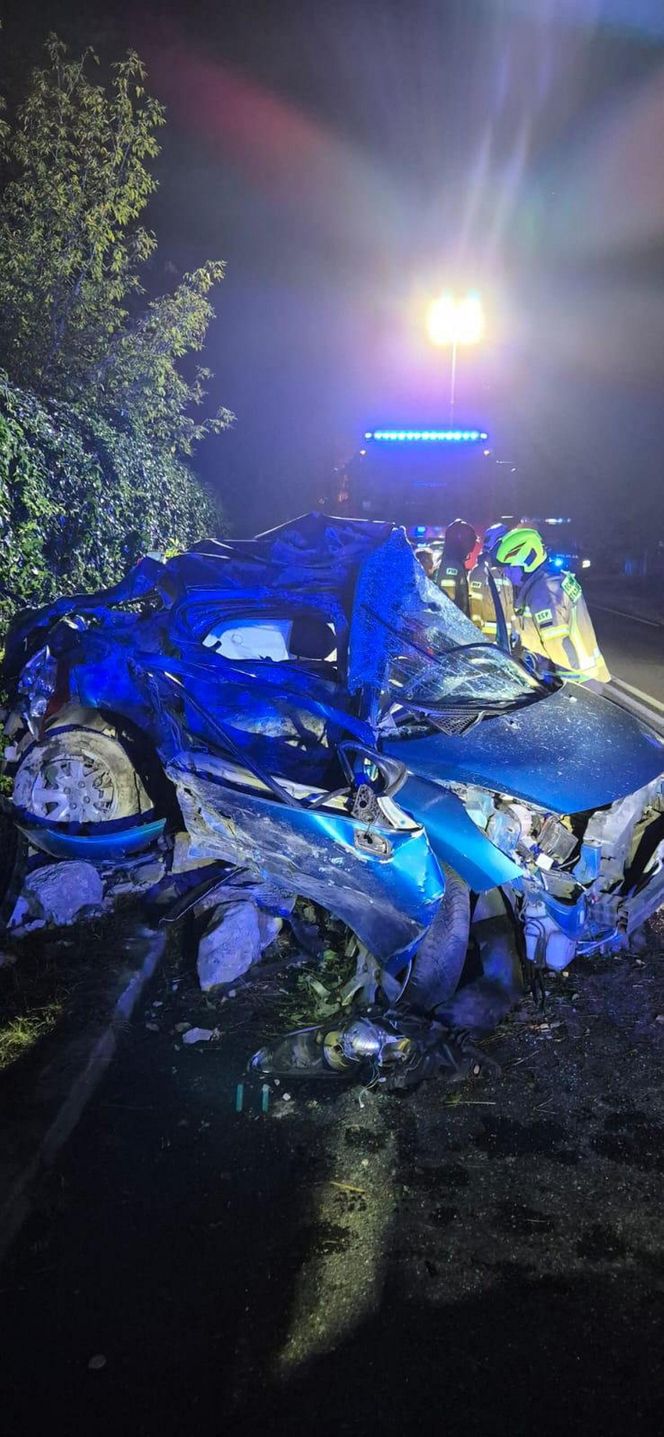 Śmiertelny wypadek pod Zgierzem. 20-latka nie żyje. Kierujący ranny