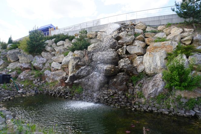 Ogród Botaniczny w Kielcach