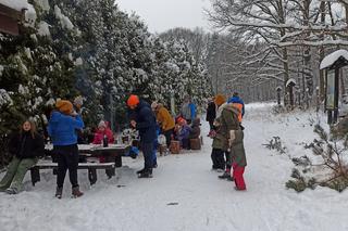 Choinkobranie w Grodźcu. Choinki z lasu od leśniczego