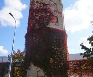 Zakłady Nowika z XIX wieku. Kiedyś była tu ogromna fabryka Sukna w Białymstoku