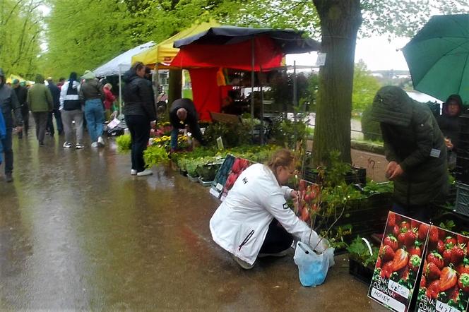 Kiermasz ogrodniczy na Wałach Chrobrego