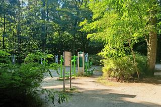 Zobacz wyjątkowy Rezerwat przyrody Żurawiniec w Poznaniu. Tutaj odpoczniesz od upałów