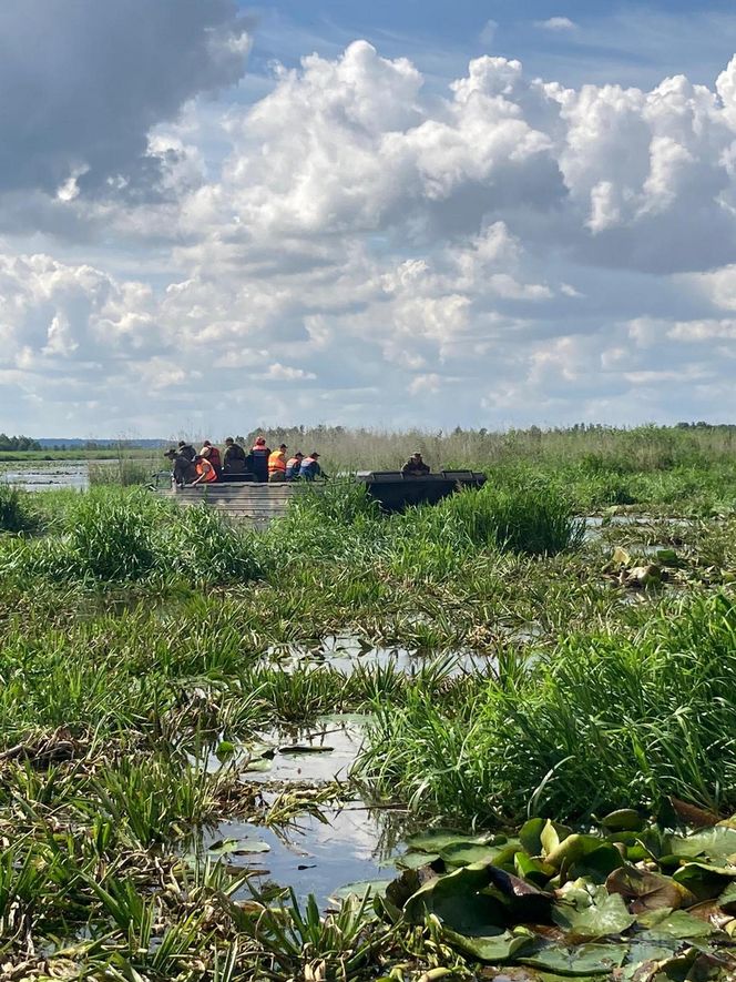 Zły stan wałów na Żuławach. „Są jak gąbka”