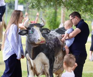 Miłosz Motyka. Energia rozpiera ministra