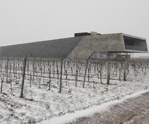 Współczesna architektura i winnice: Weingut Preisinger, Austria