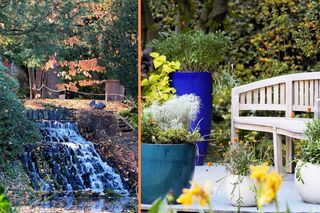 Ostatnie dni na zwiedzanie! Ten wyjątkowy ogród kończy sezon 