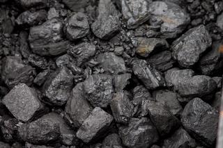 W Żaganiu trwa sprzedaż węgla. Do kiedy można składać wnioski?