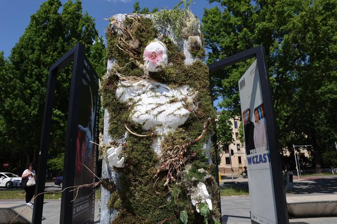 Weekend z florystyką w Lublinie. Zobacz imponujące roślinne instalacje w centrum miasta!