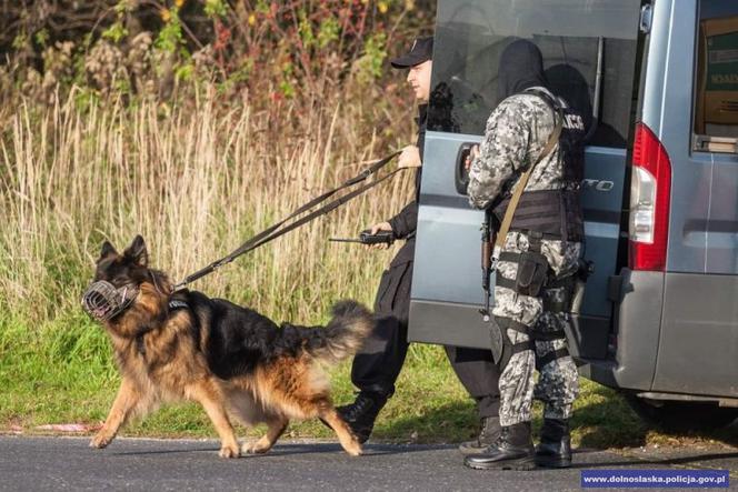 Pościg za porwanym autobusem i strzelanina z terrorystami. Tak szkolą się policjanci!