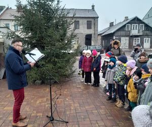 Na rynku w Mordach stanęła choinka