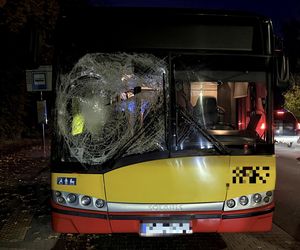 Wiązowna. Zderzenie autobusu z sarną 