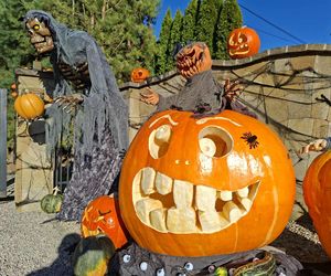 U Łukasza z Pawłowa hasło cukierek albo psikus nabiera innego wymiaru. Najbardziej halloweenowy dom świętokrzyskiego