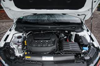 Volkswagen Polo GTI 2.0 TSI