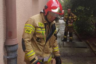 Pożar w Fundacji Kociniec.