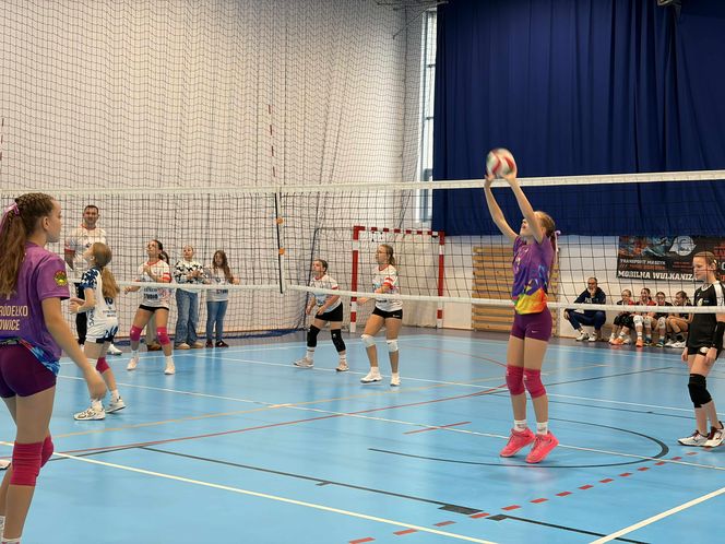 Siatkarski turniej z okazji Święta Niepodległości w Grudziądzu