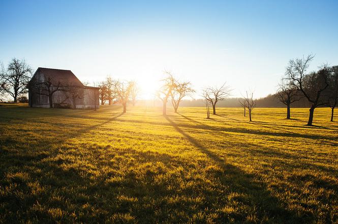 Podlaskie wsie zostaną odnowione