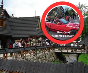 Arabowie pojawili się na Krupówkach w mustangach i wywołali burzę. Gdzie policja i mandaty? [WIDEO]