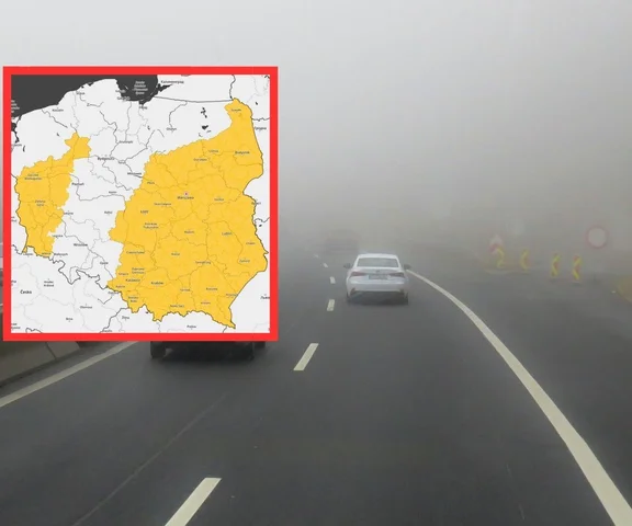 Gęsta mgła spowije Polskę. Zgniły wyż da się we znaki 