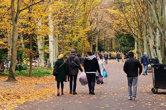 1 listopada na Cmentarzu Centralnym w Szczecinie