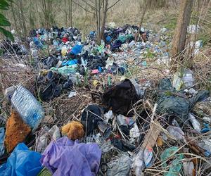 Strażnicy kontra śmieciarze. Pomagają fotopułapki